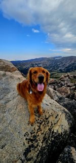 20240814_091142_copy_349x747.jpg 20240814_091142_copy_349x747.jpg