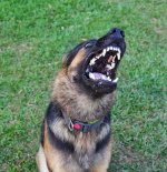 DSC05424.jpeg DSC05424.jpeg