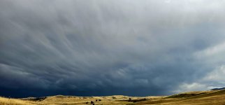 20240903_154451_copy_1600x747.jpg 20240903_154451_copy_1600x747.jpg