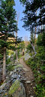 20240904_084218_copy_349x747.jpg 20240904_084218_copy_349x747.jpg