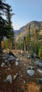 20240904_084157_copy_349x747.jpg 20240904_084157_copy_349x747.jpg