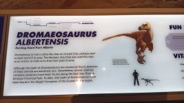 20240807_124321.jpg 20240807_124321.jpg