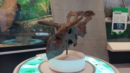 20240807_125414.jpg 20240807_125414.jpg