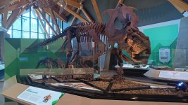 20240807_125423.jpg 20240807_125423.jpg