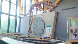 20240807_130044.jpg 20240807_130044.jpg