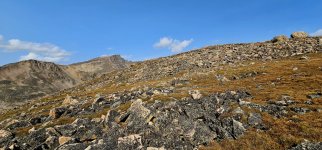 20240904_103900_copy_1600x747.jpg 20240904_103900_copy_1600x747.jpg