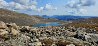 20240904_115142_copy_1600x747.jpg 20240904_115142_copy_1600x747.jpg