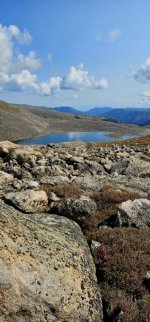 20240904_115139_copy_349x747.jpg 20240904_115139_copy_349x747.jpg