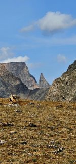 20240904_104336_copy_349x747.jpg 20240904_104336_copy_349x747.jpg