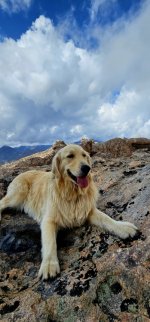 20240904_143338_copy_349x747.jpg 20240904_143338_copy_349x747.jpg