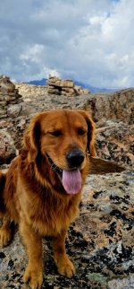 20240904_143241_copy_349x747.jpg 20240904_143241_copy_349x747.jpg