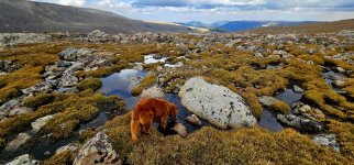 20240904_162736_copy_1600x747.jpg 20240904_162736_copy_1600x747.jpg