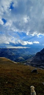 20240904_171844_copy_349x747.jpg 20240904_171844_copy_349x747.jpg