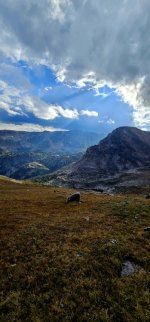 20240904_171833_copy_349x747.jpg 20240904_171833_copy_349x747.jpg