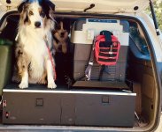 tempImageqnuY9h.jpg tempImageqnuY9h.jpg