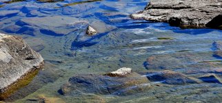 20240905_131221_copy_1200x560.jpg 20240905_131221_copy_1200x560.jpg