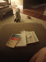 20240917_051854.jpg 20240917_051854.jpg