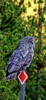 20240920_180701_copy_349x747.jpg 20240920_180701_copy_349x747.jpg