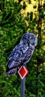 20240920_180654_copy_349x747.jpg 20240920_180654_copy_349x747.jpg