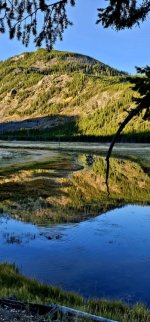 20240921_080618_copy_349x747.jpg 20240921_080618_copy_349x747.jpg