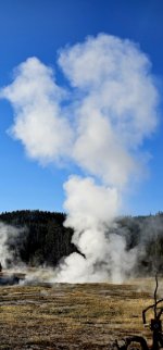 20240921_084641_copy_349x747.jpg 20240921_084641_copy_349x747.jpg