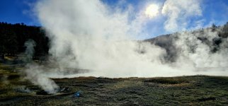 20240921_090415_copy_1600x747.jpg 20240921_090415_copy_1600x747.jpg