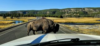 20240921_092431_copy_1600x747.jpg 20240921_092431_copy_1600x747.jpg