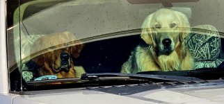 20240921_081359_copy_1600x747.jpg 20240921_081359_copy_1600x747.jpg