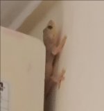 islamabad5.jpg islamabad5.jpg