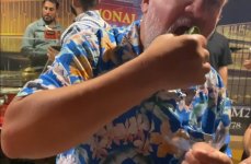 monal11.jpg monal11.jpg