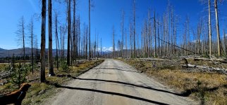 20240921_115746_copy_1600x747.jpg 20240921_115746_copy_1600x747.jpg