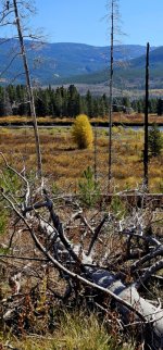 20240921_115846_copy_349x747.jpg 20240921_115846_copy_349x747.jpg