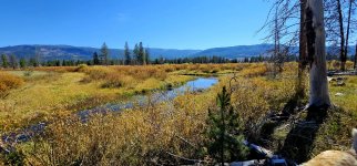 20240921_115252_copy_1600x747.jpg 20240921_115252_copy_1600x747.jpg