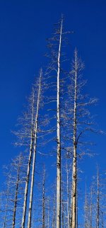 20240921_120725_copy_349x747.jpg 20240921_120725_copy_349x747.jpg