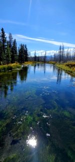 20240921_133301_copy_349x747.jpg 20240921_133301_copy_349x747.jpg