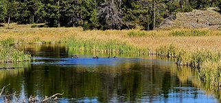 20240921_133233_copy_1600x747.jpg 20240921_133233_copy_1600x747.jpg