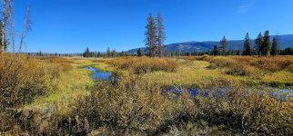 20240921_115244_copy_1600x747.jpg 20240921_115244_copy_1600x747.jpg