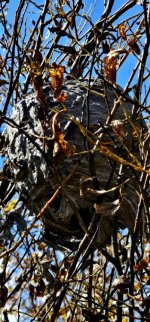 20240921_131102_copy_349x747.jpg 20240921_131102_copy_349x747.jpg