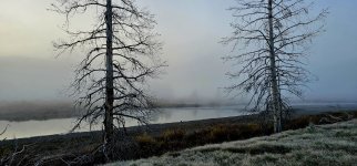 20240922_072120_copy_1600x747.jpg 20240922_072120_copy_1600x747.jpg