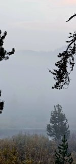 20240922_070633_copy_349x747.jpg 20240922_070633_copy_349x747.jpg