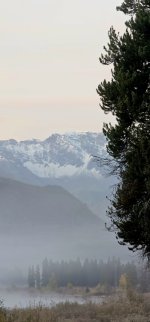 20240922_070625_copy_349x747.jpg 20240922_070625_copy_349x747.jpg