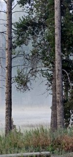 20240922_070641_copy_349x747.jpg 20240922_070641_copy_349x747.jpg