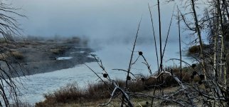 20240922_072417_copy_1600x747.jpg 20240922_072417_copy_1600x747.jpg