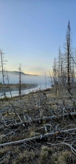 20240922_072341_copy_349x747.jpg 20240922_072341_copy_349x747.jpg