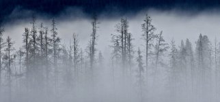 20240922_072400_copy_1600x747.jpg 20240922_072400_copy_1600x747.jpg