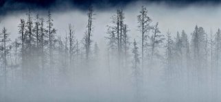 20240922_072359_copy_1600x747.jpg 20240922_072359_copy_1600x747.jpg