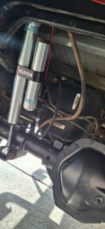 20241004_085743.jpg 20241004_085743.jpg