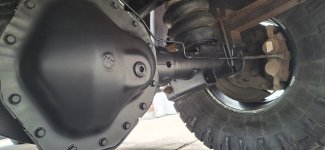 20241004_115423.jpg 20241004_115423.jpg