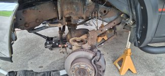 20241005_095923.jpg 20241005_095923.jpg