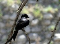 Taxila8.jpg Taxila8.jpg